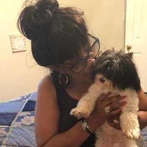 Meet your Posher, Sylvia